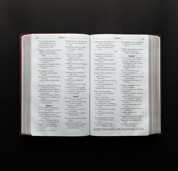 enterprise reference document summary