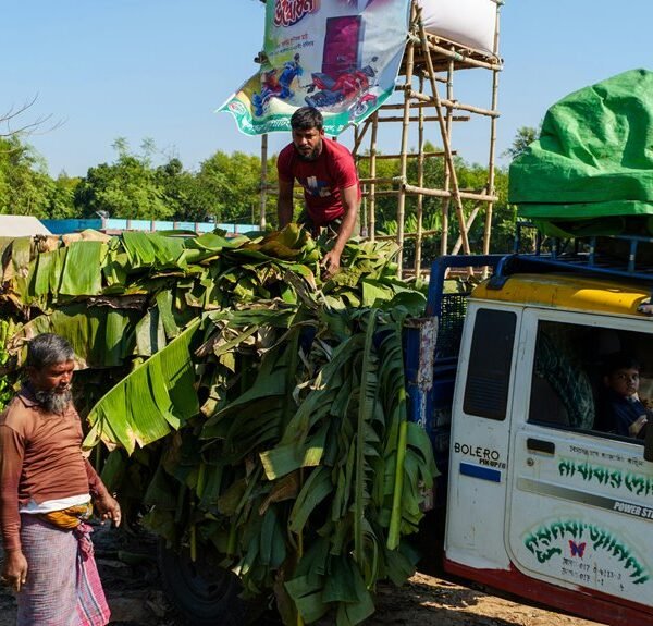 business landscape analysis report