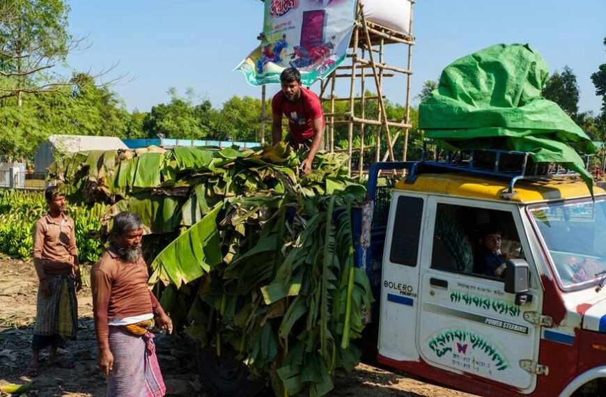 business landscape analysis report