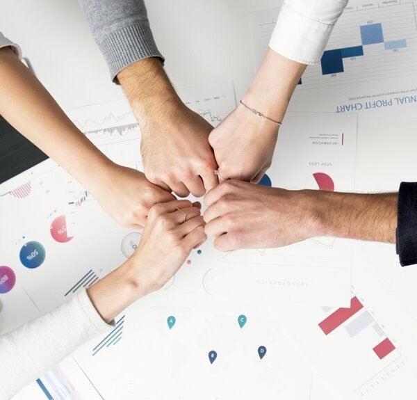 enterprise sector dynamics analysis