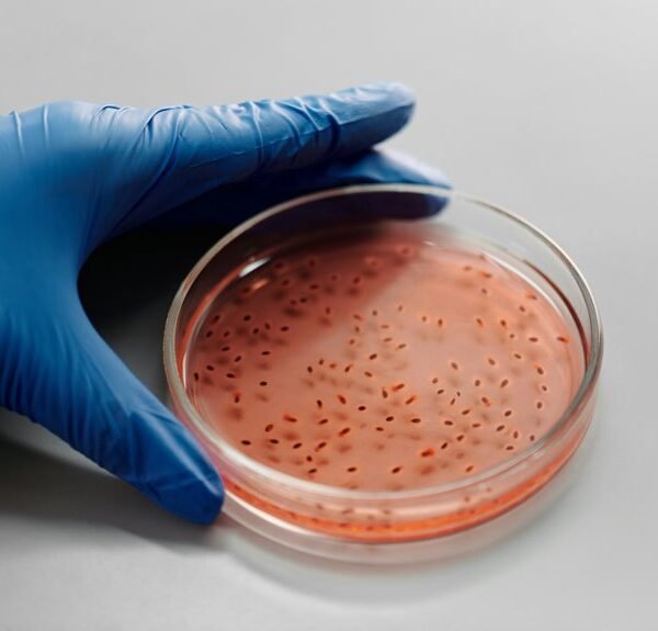 sector growth analysis tools