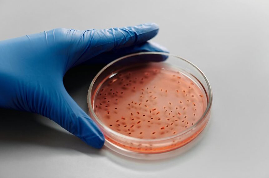 sector growth analysis tools