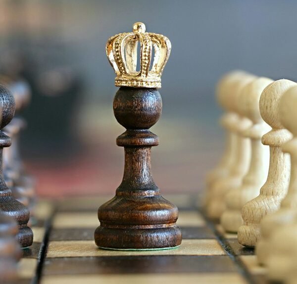 Specialized Competitive Intelligence Briefing for 954487668, 8889043703,&hellip;